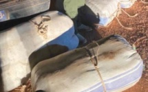 Trafic de drogue à Keur Ayip : La douane saisit 400 kg de chanvre indien d'une valeur de 51 millions Cfa
