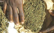 Saisie de 78 kg à Zac-Mbao: La police démantèle un vaste réseau de trafic international de drogue