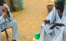 Ndingler : Thierno Alassane Sall à la rencontre des paysans