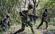 Braquage en Casamance : Un commerçant dépouillé de "dizaines de millions" par des hommes armés