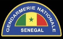 Enquête sur le meurtre de Seynabou Kâ Diallo: Ce que dit la version officielle de la Gendarmerie