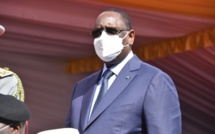 MACKY SALL : "NOUS NE POUVONS PLUS ACCEPTER QU’UN SEUL ARBRE SOIT ABATTU EN CASAMANCE POUR ÊTRE EXPORTÉ HORS DE NOS FRONTIÈRES’’