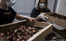 Pâques : face au scandale sanitaire chez Kinder, les Français se ruent chez les chocolatiers