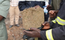 Trafic international de drogue en Casamance : Lamine Diémé tombe avec 160 kilos de chanvre indien.