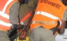 Kolda : Trois bouchers clandestins arrêtés par la gendarmerie