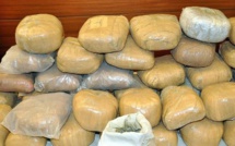 Côte d'Ivoire : deux tonnes de cocaïne saisies à Abidjan et San Pedro - 9 interpellations