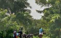 Ziguinchor : Un jeune élève meurt après avoir chuté d’un arbre