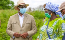 ​Culture du Riz dans la vallée du fleuve Sénégal – Les producteurs de Saint-Louis ont le blues
