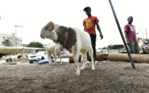 Pour les Sénégalais, la note salée de la Tabaski