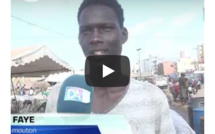 Tabaski 2022 : les laveurs de mouton se frottent les mains (Reportage)