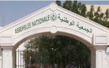 Mauritanie: les députés adoptent une loi contestée sur les langues à l'école