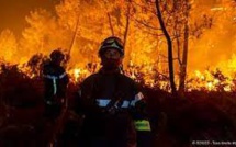 Algérie, Portugal, Russie : état des lieux des feux de forêt