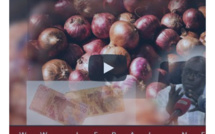 Touba: Des sacs d'oignon saisis et vendus sur place à 600 F CFA le kilo