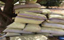 Bargny : 200 Kg de chanvre indien retrouvés dans une pirogue Bargny : 200 Kg de chanvre indien retrouvés dans une pirogue