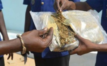 Trafic de drogue: Les époux Camara arrêtés avec cinq kilos de Cannabis à Thiénaba