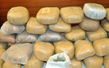 TRAFIC DE COCAÏNE À YOFF : La Dic casse le business de Chigozie Nkata Mba…