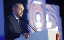  Erdogan: la Turquie et la Russie vont "livrer gratuitement" des céréales en Afrique