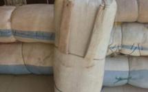 Kaolack : Saisie de drogue d'une valeur marchande de 24 millions de Francs CFA