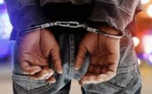 HLM : le lutteur Saloum-Saloum arrêté pour trafic de cocaïne et viol sur une de ses clientes