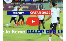 Live (Qatar) : Suivez le 5eme galop des Lions ....