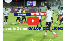 Live (Qatar) : Suivez le 5eme galop des Lions ....