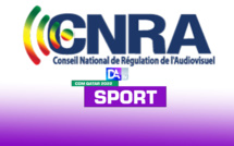 Diffusion des matches de la coupe du monde : Les câblodiffuseurs en phase avec le CNRA.