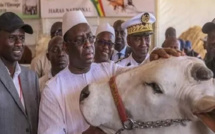 Tambacounda : Macky Sall liste ses projets pour moderniser le secteur de l’élevage