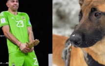 Argentine: le gardien Emiliano Martinez s’offre un chien utilisé par les forces spéciales US