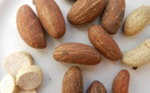 [Bien-être] Voici 7 bonnes raisons de consommer du petit cola