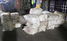 Affaire des 805 de cocaïne : Les 7 suspects déférés et la drogue calcinée