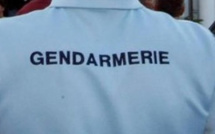 France- Appelés pour des violences conjugales, les gendarmes découvrent 50 kilos de cannabis