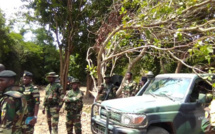 Accident : Un mort et neuf blessés dans un convoi de l’armée