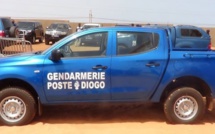 Diogo : Le face-à-face nocturne entre les gendarmes et l'ouvrier agricole qui avait volé 2 bœufs
