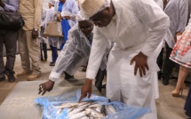 CONFLIT ENTRE PÊCHEURS À KAYAR : LA RÉACTION INDIRECTE DE MACKY SALL