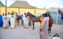 Omar Bao mou Serigne Mountakha offre trois chevaux de course au Khalife général des Mourides(Photos)