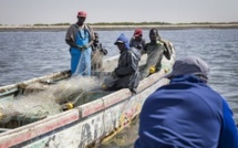 AFFAIRE DES PÊCHEURS DE CAYAR ET DE MBORO : Le procès renvoyé à nouveau en audience spéciale au vendredi 5 mai