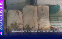 Nioro/Lutte contre le trafic de drogue : la gendarmerie met la main sur 30 kg de yamba