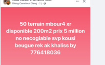 Vente de terrains à Mbour 4 : Complicité avec l'entrepreneur ou avec la direction des Impôts et des Domaines de Thiès ? Depuis quelques te