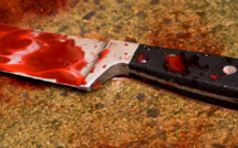 France: une attaque au couteau dans un parc d’Annecy, des enfants blessés
