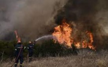 La forêt toujours en feu à une cinquantaine de kilomètres d'Athènes