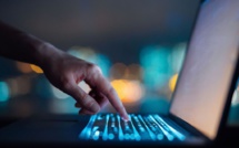 Arnaques sur internet originaires d’Afrique de l’Ouest : 103 personnes arrêtées et 1100 suspects identifiés, annonce Interpol