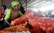 Abdou Karim Fofana annonce l’arrivée de 14 000 tonnes d'oignons, entre le 11 et le 25 août