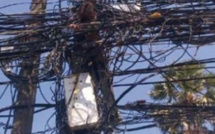 Touba: Un talibé meurt électrocuté