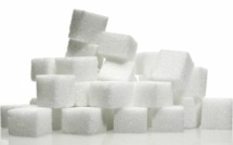 Sucre en morceaux : une très mauvaise qualité sur le marché