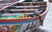 Émigration clandestine : 54 Sénégalais périssent en mer