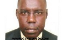 ​Profil du nouveau Dg de la Caisse Nationale de Crédit Agricole du Sénégal   :  L'histoire jamais racontée de  Malick Ndiaye