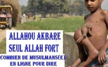 ARRET SUR IMAGE:Cent commentaires! ARRET SUR IMAGE:Cent commentaires!