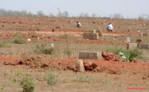 BRADAGE DE TERRAINS: L’ÉQUATION DU FONCIER AU SÉNÉGAL