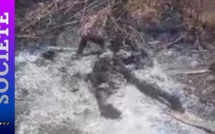 Tivaouane/ Découverte macabre à Mbodiène: L'enquête suit son cours...L'individu brûlé vif et abandonné est un homme. Tivaouane/ Découverte macabre à Mbodiène: L'enquête suit son cours...L'individu brûlé vif et abandonné est un homme.