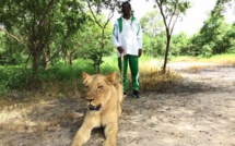 Photos:le ministre  Mary Teuw Niane se promène avec des lions